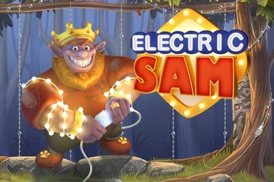 electric sam