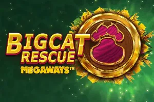 Big Cat Rescue Megaways demo spelen